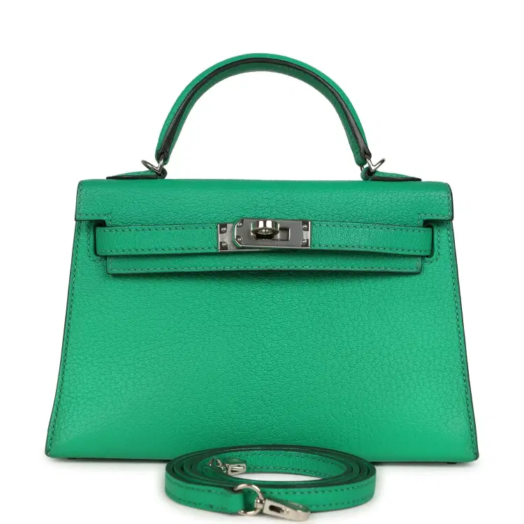 Pre-owned Hermes Kelly Sellier 20 Cactus Verso Chèvre Mysore Palladium Hardware-Hover-Image