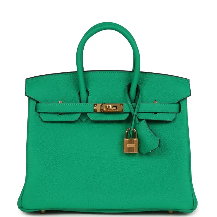Hermes Birkin 25 Menthe Togo Gold Hardware-Hover-Image