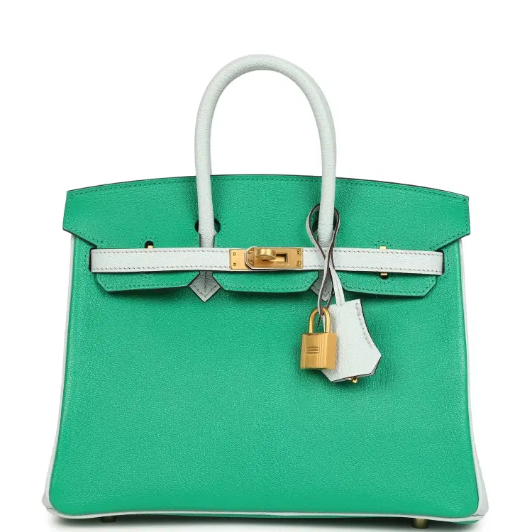 Hermes Special Order (HSS) Birkin 25 Bi-Color Menthe and Bleu Brume Chevre Mysore Brushed Gold Hardware-Hover-Image