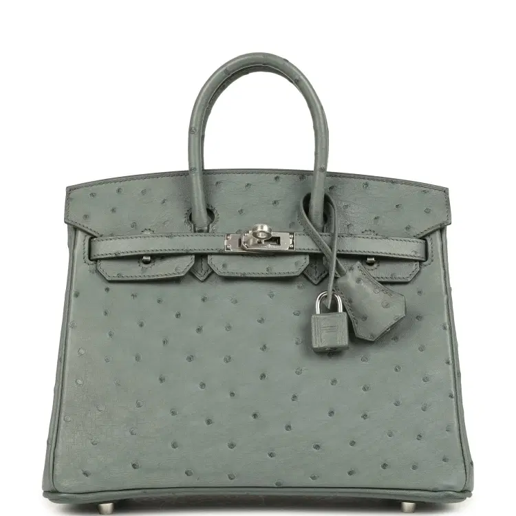 Hermes Birkin 25 Vert Amande Ostrich Palladium Hardware-Hover-Image