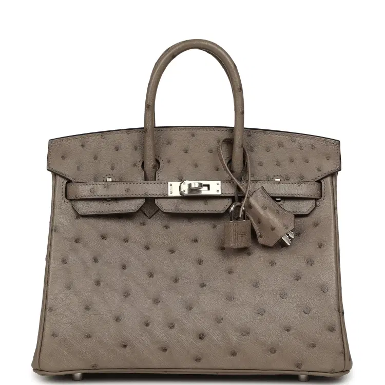 Hermes Birkin 25 Mousse Ostrich Boreal Palladium Hardware-Hover-Image