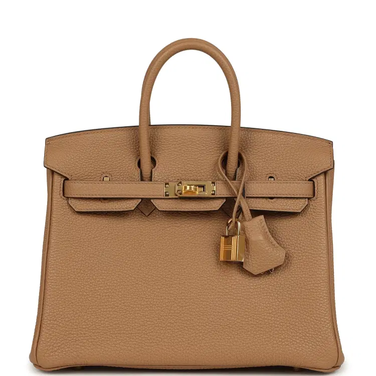 Hermes Birkin 25 Chai Togo Gold Hardware-Hover-Image