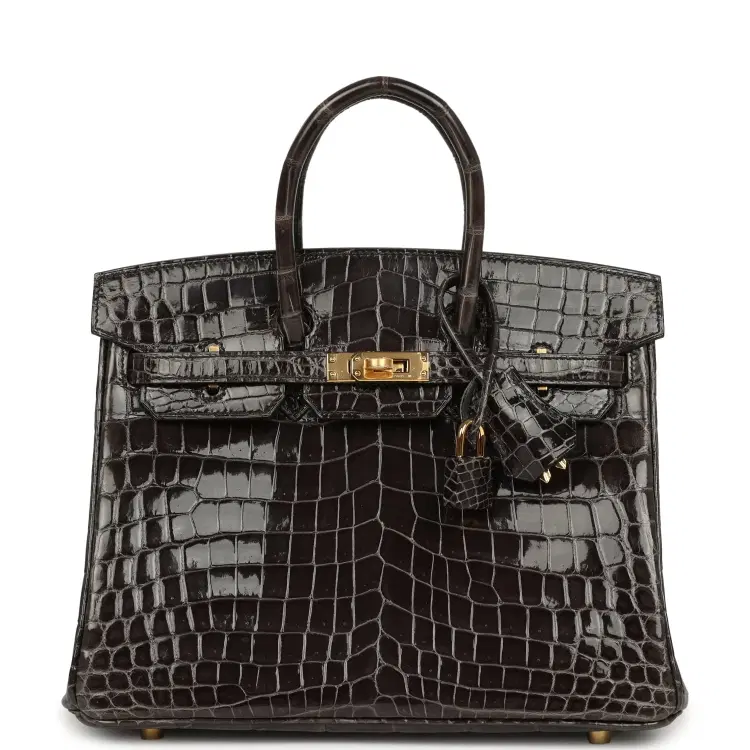 Hermes Birkin 25 Graphite Shiny Niloticus Crocodile Gold Hardware-Hover-Image