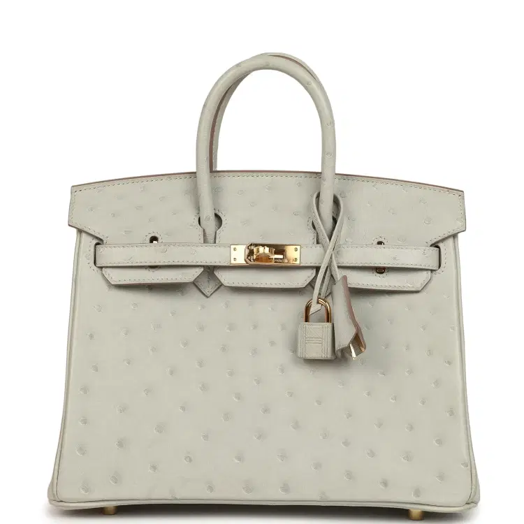 Hermes Birkin 25 Gris Perle Ostrich Gold Hardware-Hover-Image