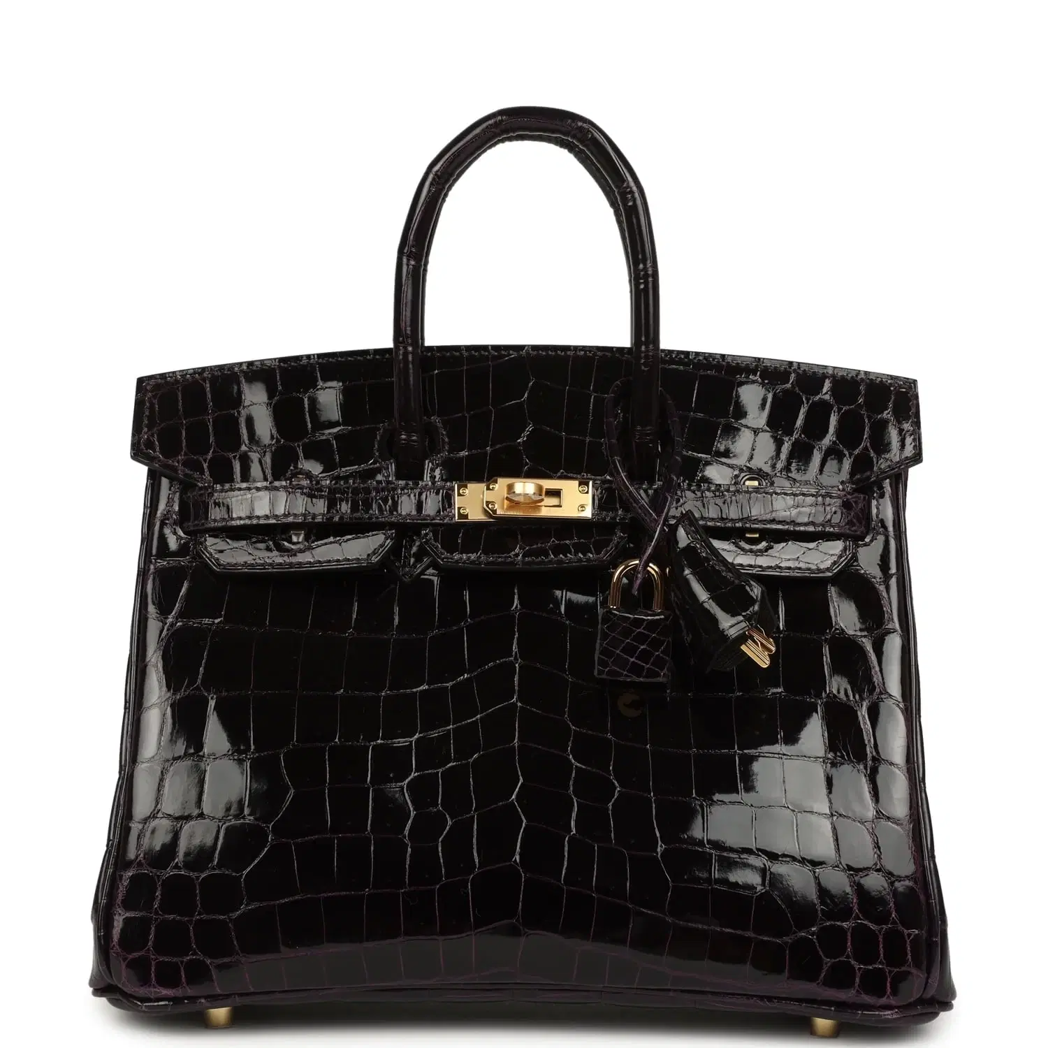 Hermes Birkin 25 Prunoir Shiny Niloticus Crocodile Gold Hardware
