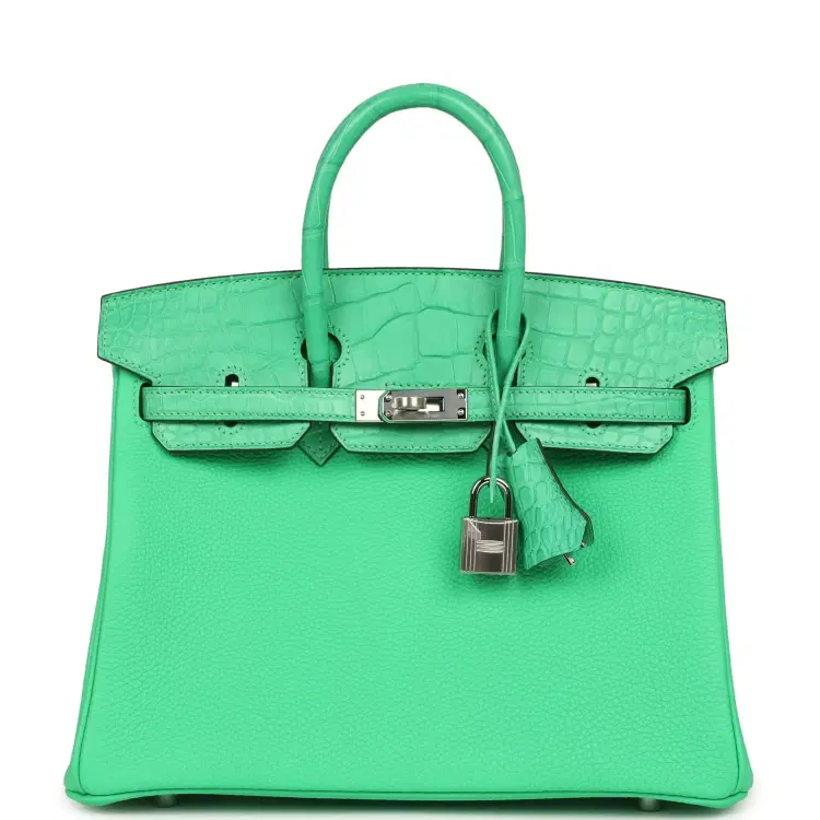 Hermes Birkin 25 Vert Comics Togo and Matte Alligator Touch Palladium Hardware-Hover-Image
