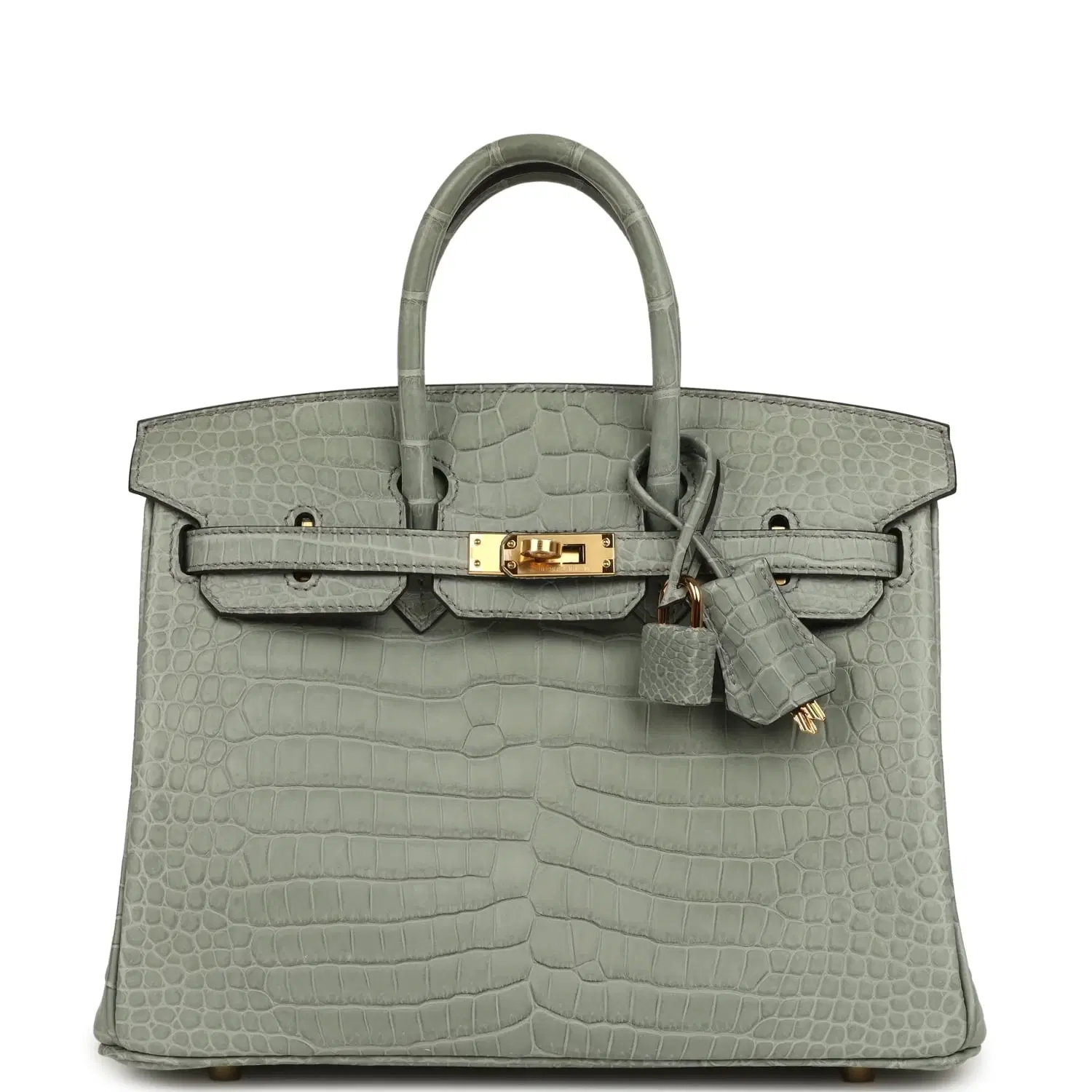 Hermes Birkin 25 Gris Ciment Matte Porosus Crocodile Gold Hardware