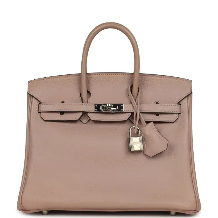 Pre-owned Hermes Birkin 25 Glycine Evercolor Palladium Hardware-Hover-Image