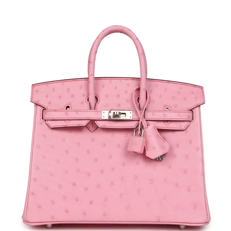 Hermes Birkin 25 Bubblegum Ostrich Boreal Palladium Hardware-Hover-Image