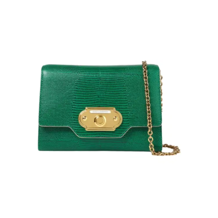 Dolce & Gabbana Lizard-effect leather Shoulder Bag-Hover-Image