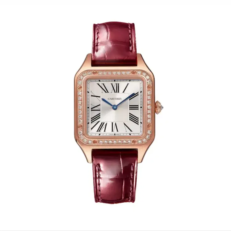 Cartier Santos-Dumont WJSA0017 Silvered Sunray Dial Small-Hover-Image