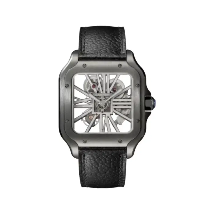 Cartier WHSA0023 Santos de Cartier Skeleton Dial Large-Hover-Image