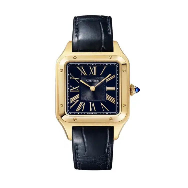 Cartier WGSA0077 Santos-Dumont Blue Satin-Brushed Dial Large-Hover-Image