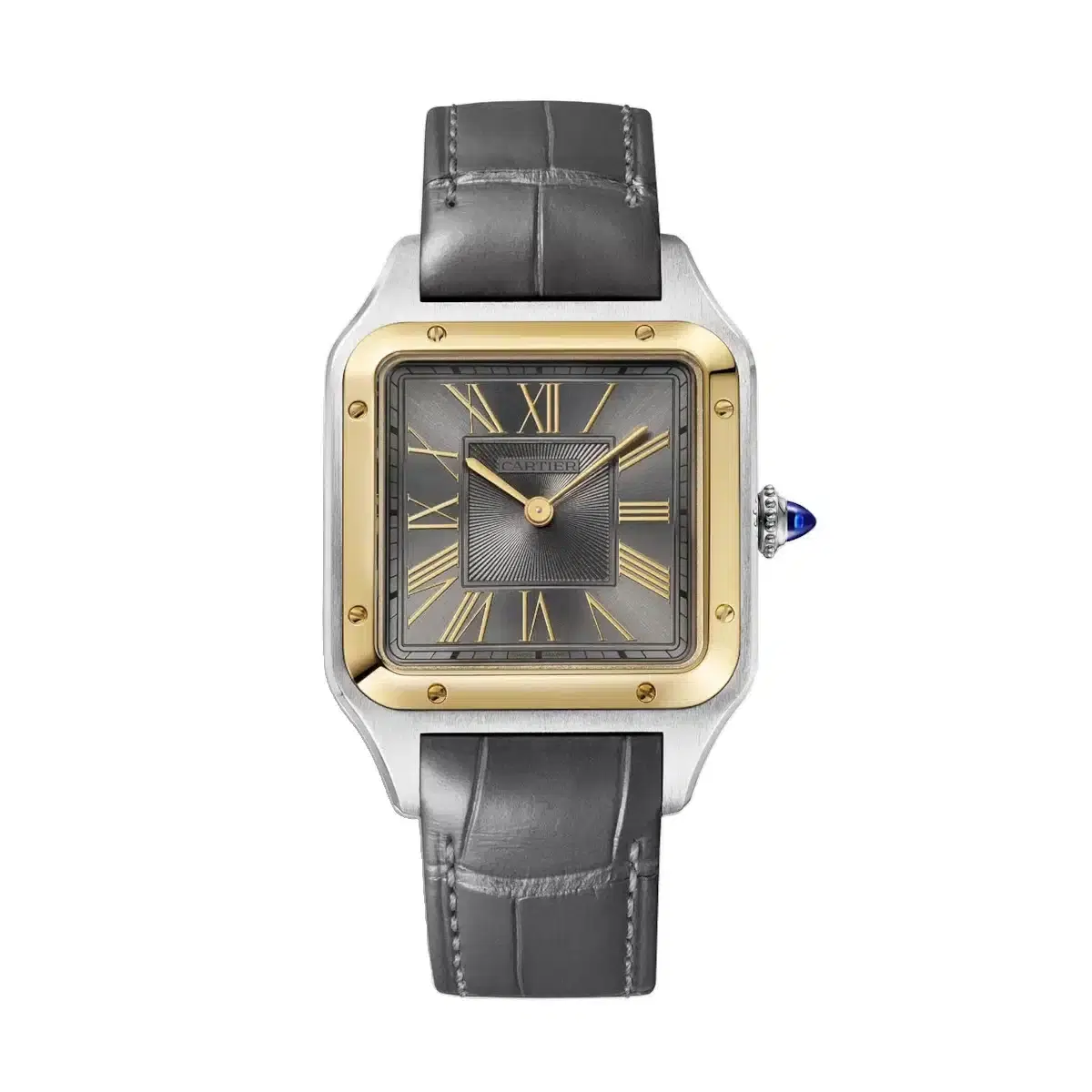 Cartier W2SA0028 Santos de Cartier Grey Sunray Dial Large