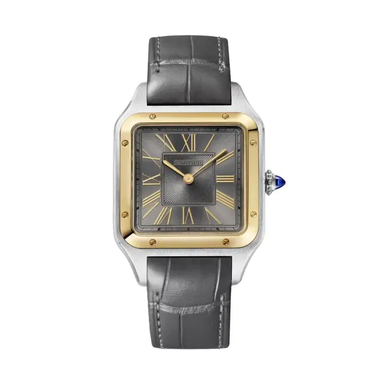 Cartier W2SA0028 Santos de Cartier Grey Sunray Dial Large-Hover-Image