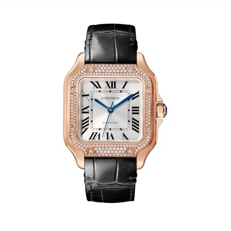 Cartier WJSA0012 Santos de Cartier Sunray-Effect Dial Medium-Hover-Image