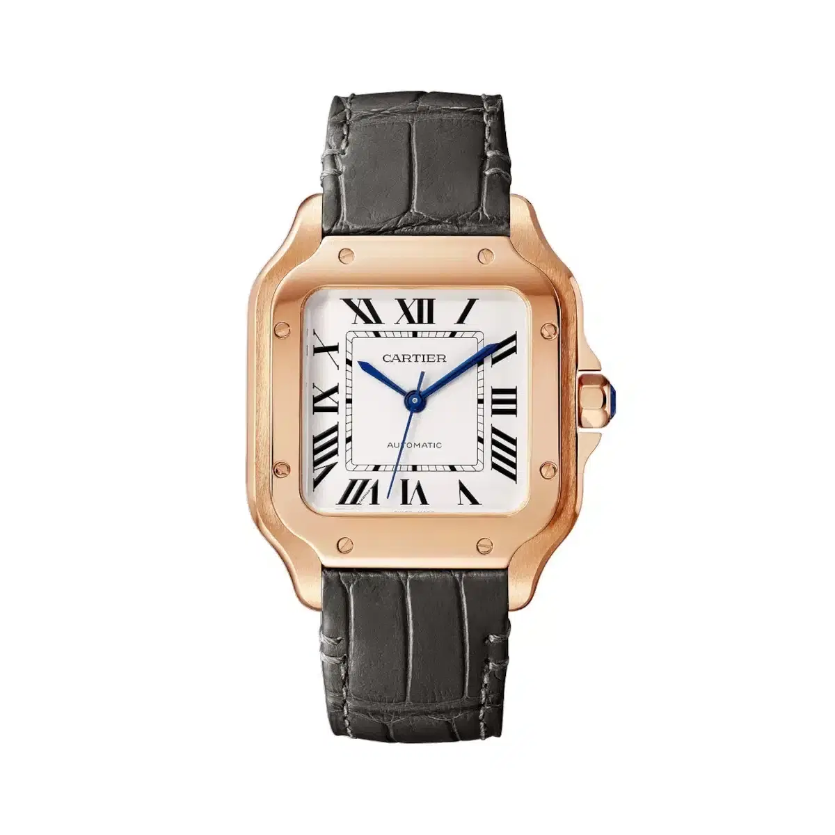 Cartier WGSA0028 Santos de Cartier Opaline Dial Medium