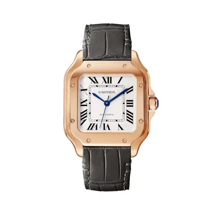 Cartier WGSA0028 Santos de Cartier Opaline Dial Medium-Hover-Image