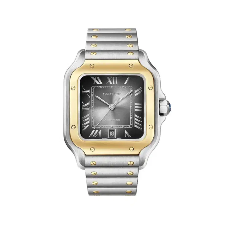 Cartier W2SA0030 Santos de Cartier Anthracite Grey Dial Large-Hover-Image