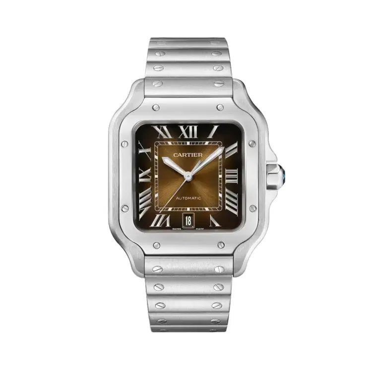 Cartier WSSA0064 Santos de Cartier Graduated Brown Dial Large-Hover-Image