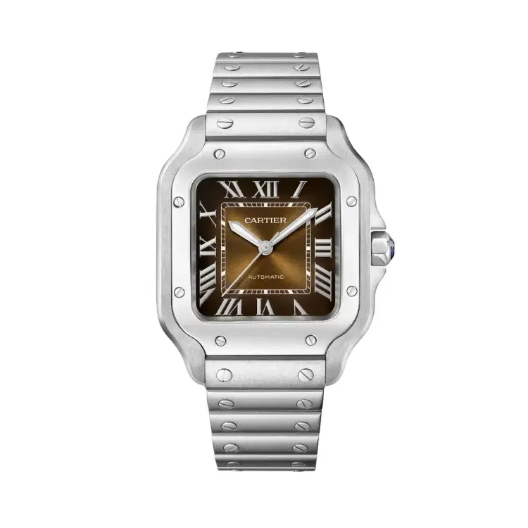 Cartier WSSA0065 Santos de Cartier Brown Sunray Dial Medium-Hover-Image