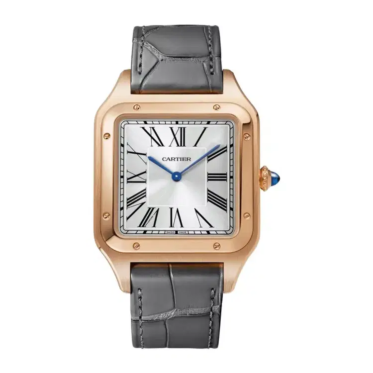 Cartier WGSA0032 Santos-Dumont Silver Dial Extra Large-Hover-Image