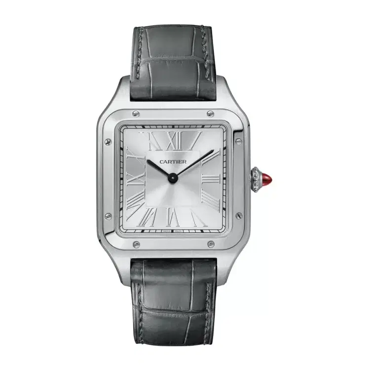 Cartier WGSA0034 Santos-Dumont Silver Dial-Hover-Image