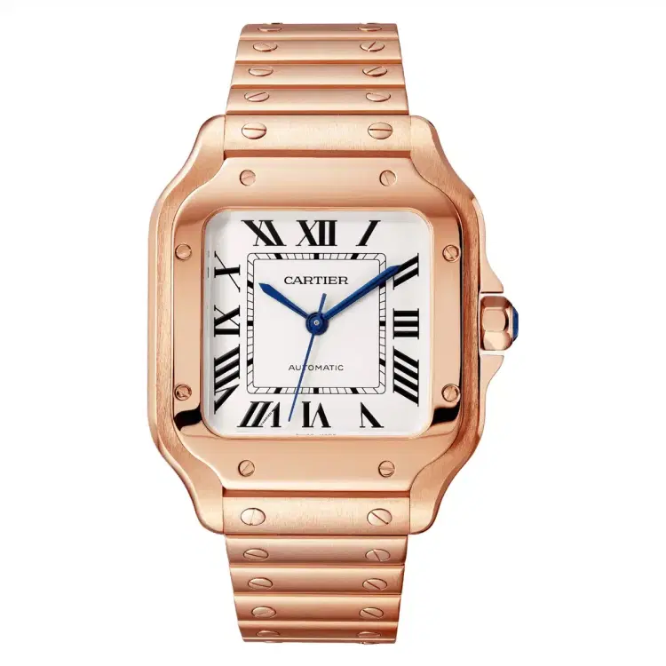 Santos De Cartier WGSA0031 Medium Model-Hover-Image