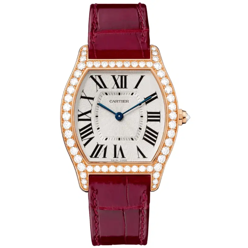 Tortue Watch WA501008