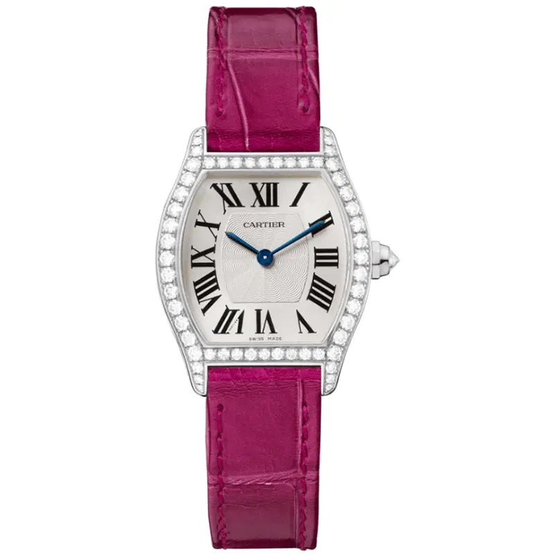 Tortue Watch WA501007