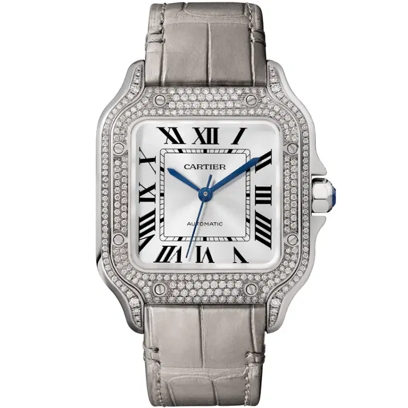 Santos De Cartier Watch WJSA0006