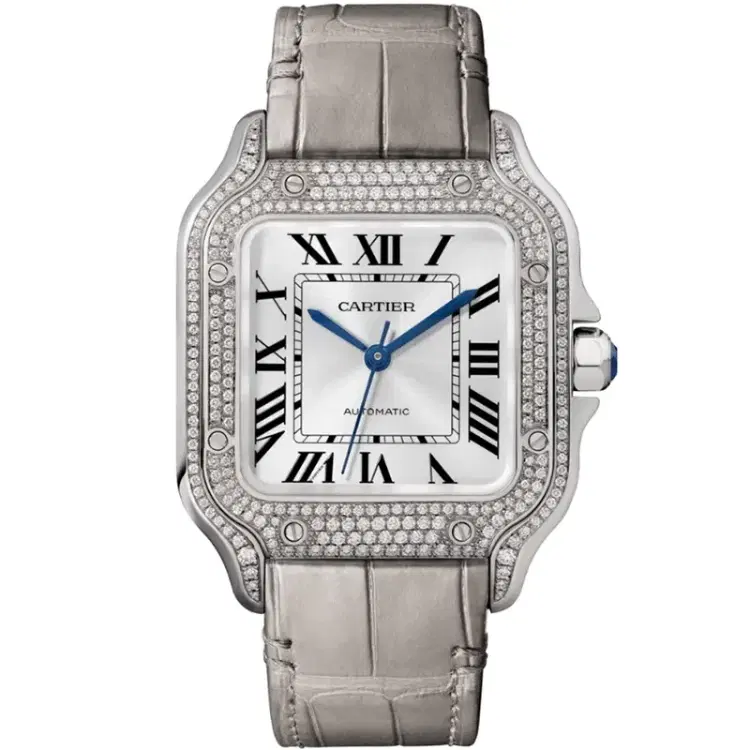 Santos De Cartier Watch WJSA0006-Hover-Image