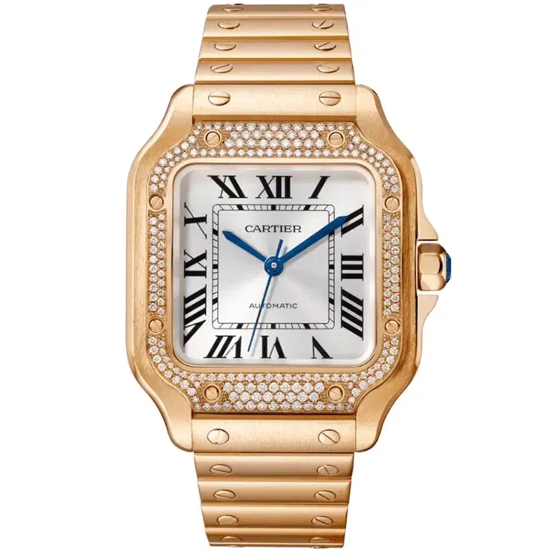 Santos De Cartier Watch WJSA0009
