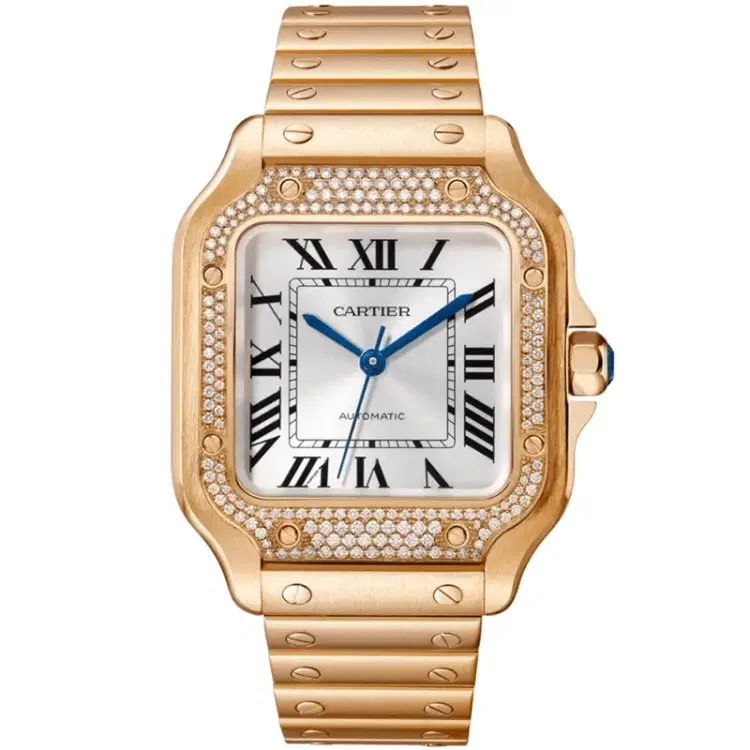 Santos De Cartier Watch WJSA0009-Hover-Image