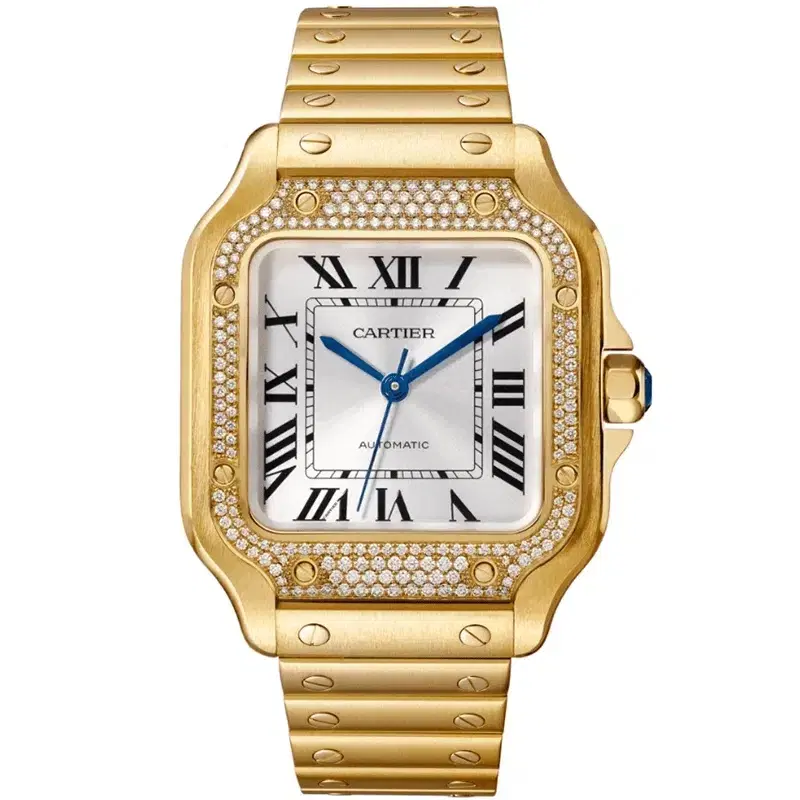 Santos De Cartier WJSA0010 Watch