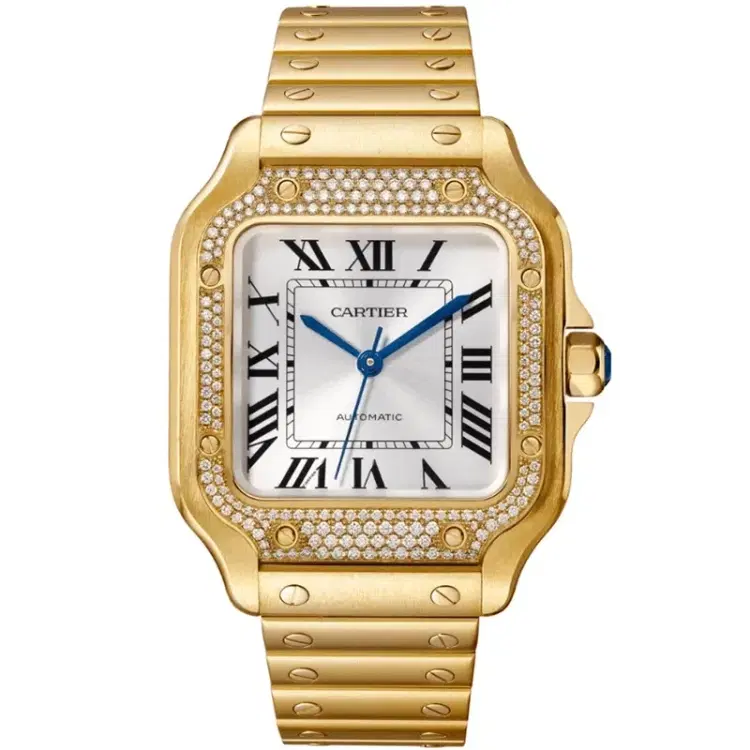 Santos De Cartier WJSA0010 Watch-Hover-Image