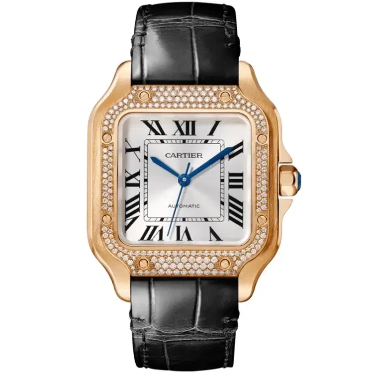 Santos De Cartier WJSA0007 Watch-Hover-Image
