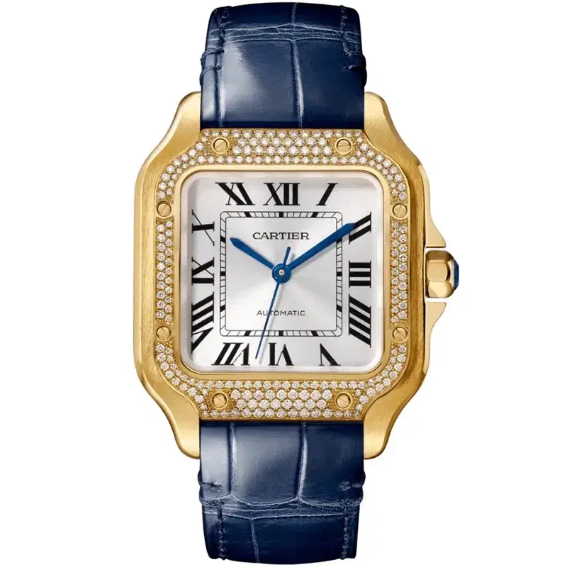 Santos De Cartier Watch WJSA0008