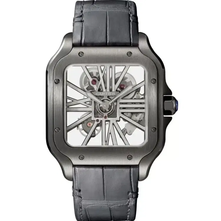 Santos De Cartier ADLC 39.8 mm Watch WHSA0009-Hover-Image
