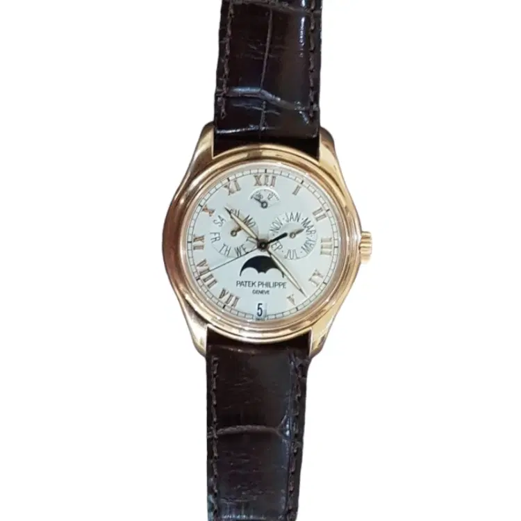 Patek Phillippe Annual Calendar Moonphase Men's Watch-Hover-Image