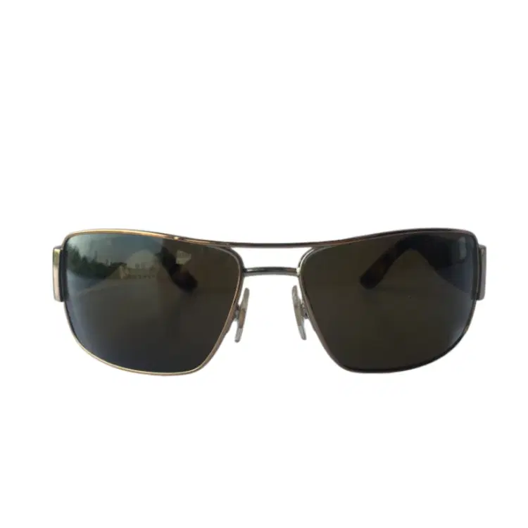 Polo Ralph Lauren Sunglasses With Logo on Stem-Hover-Image