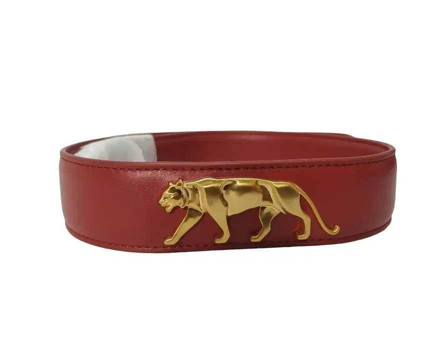 Sabyasachi Belt Styling Sabyasachi Belt The Grand Trunk display picture 1