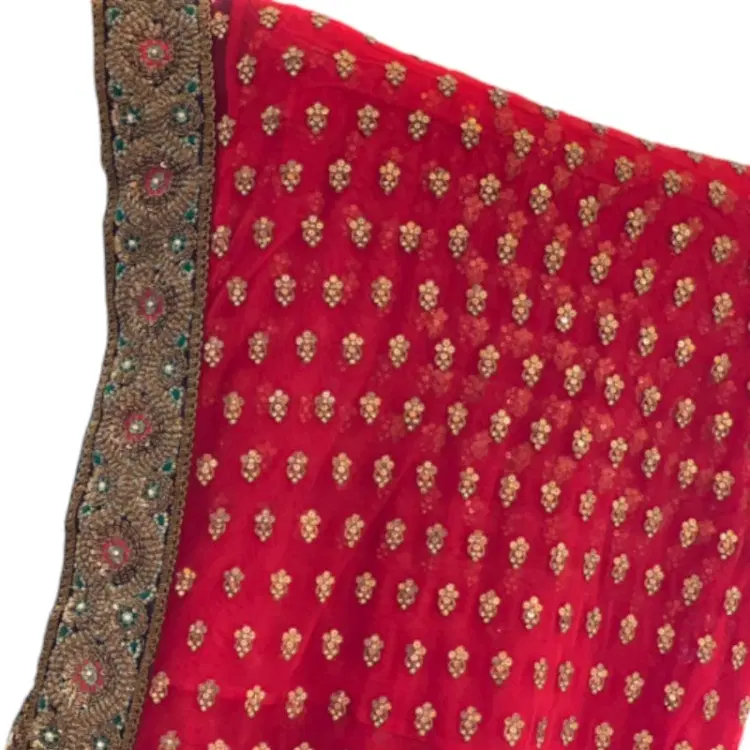 Sabyasachi Red Saree-Hover-Image
