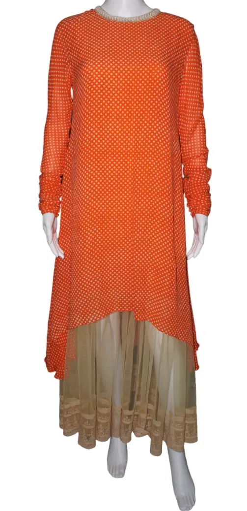 Sabyasachi Orange & Golden Dress-Hover-Image