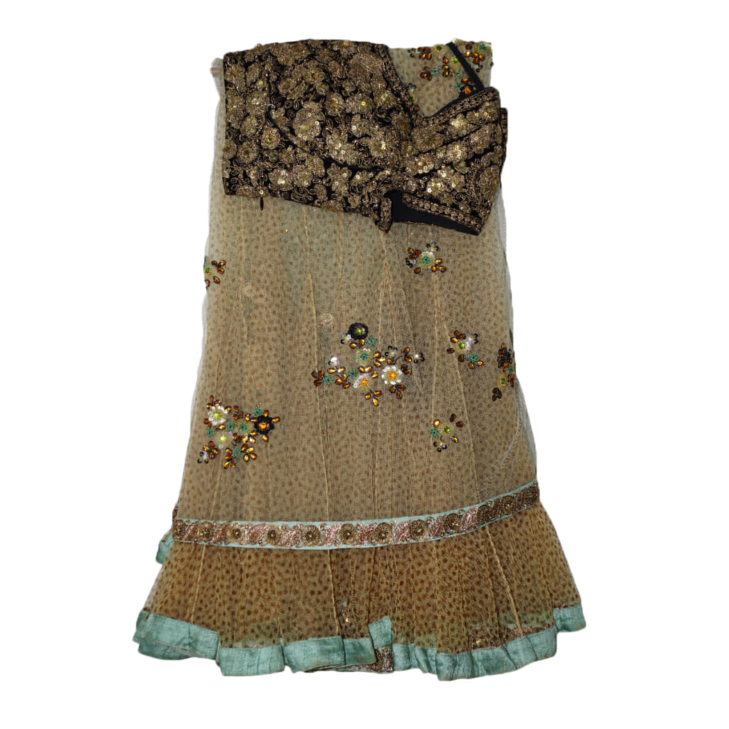 Sabyasachi Ghagra Saree With Blouse