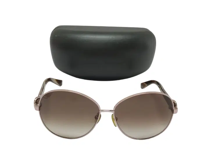 Salvatore Ferragamo SF101S Sunglasses-Hover-Image
