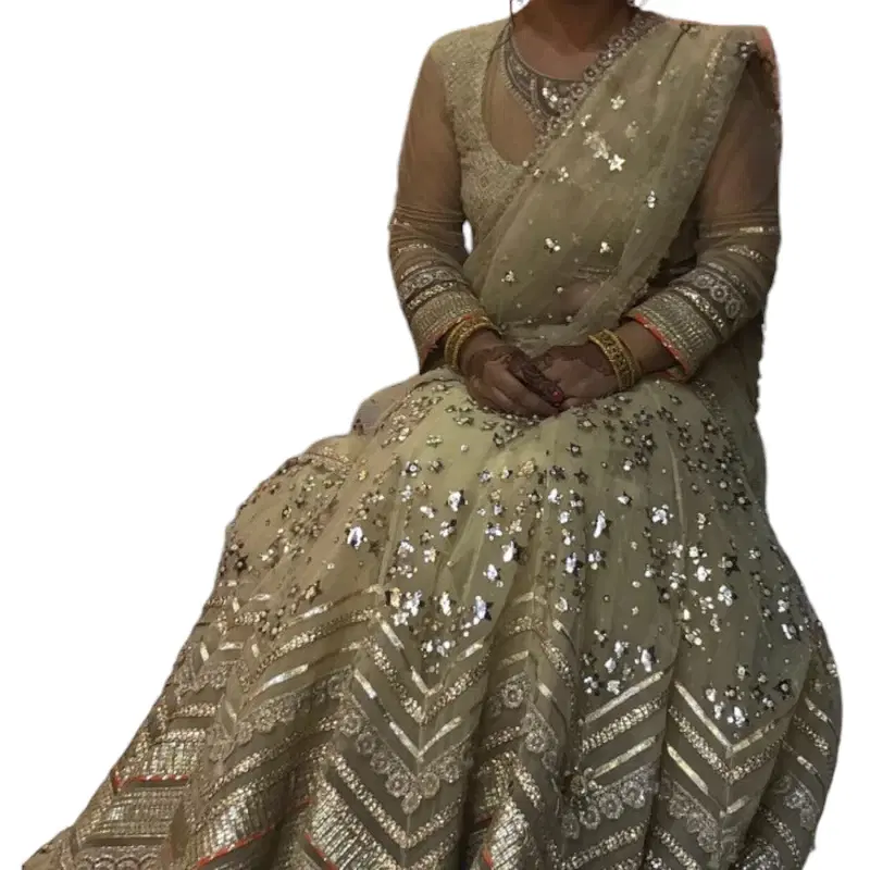 Tarun Tahiliani Beige Lehenga Saree with Embroidered Blouse