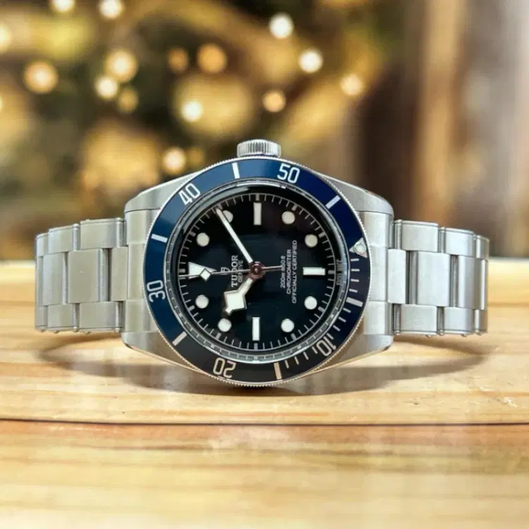 Tudor Black Bay 41MM Steel Watch-Hover-Image