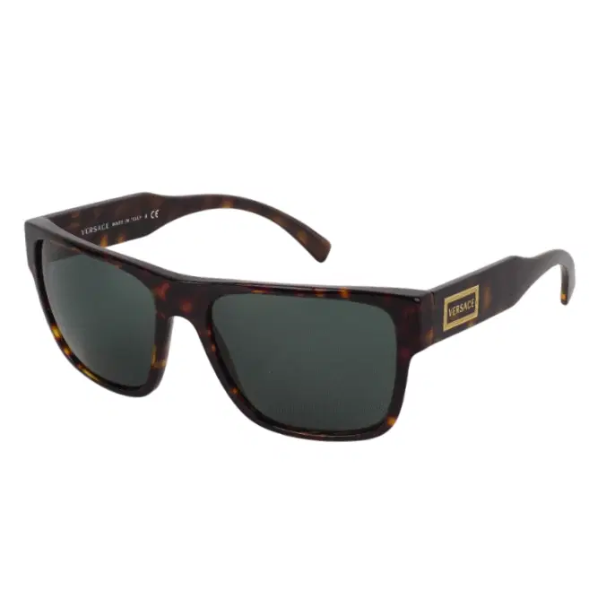 Versace Havana/Brown Sunglasses