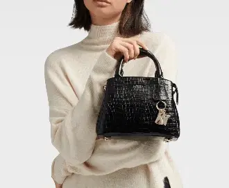 SATCHEL image
